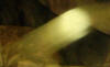 Thumbnail to a photo with the zoomed in moving orb