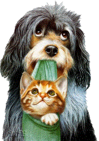 Picture moving cat & dog